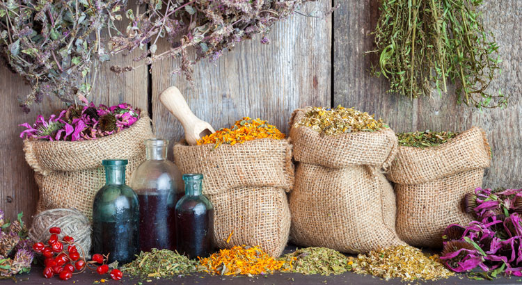 Урологические травы после операции