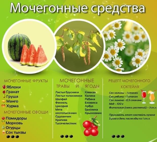 почечный сбор урологический сбор почечный сбор урологический сбор