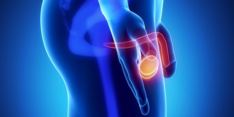 Причины покраснения яичек у мужчин и мальчиков