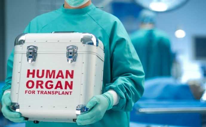 49e7ea3-9d51865-sale-organs-690-690x426.jpg