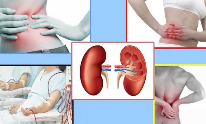 hronicheskaya-pochechnaya-nedostatochnost-1000x600.jpg