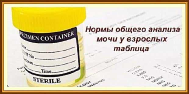 normy-obshhego-analiza-mochi-u-vzroslyh-tablica-min.jpg