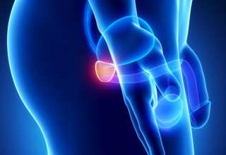 Как самому сделать массаж простаты пальцем в домашних условиях