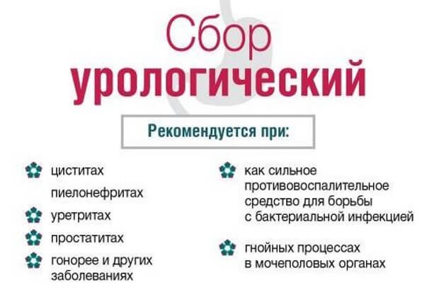 урологические сборы трав в аптеках урологические сборы трав в аптеках