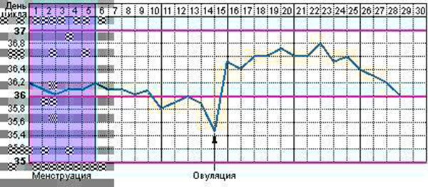 календарь при овуляции