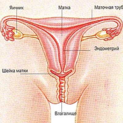 сторение
