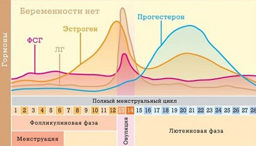 особенности