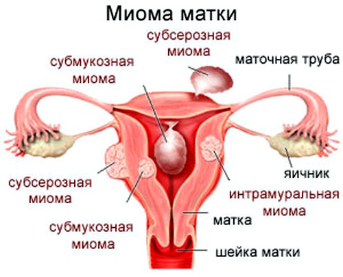 виды патологии