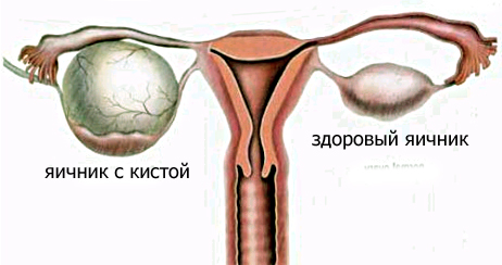как это выглядит